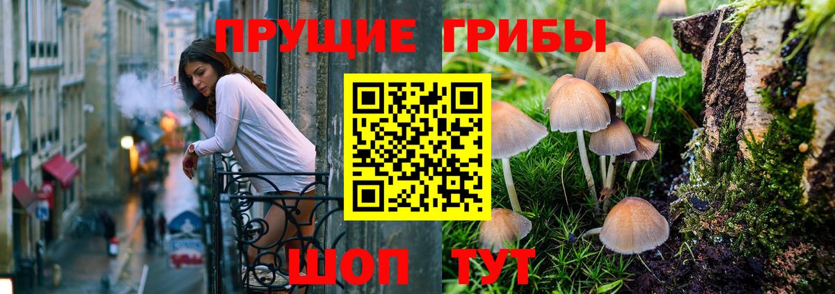 где найти   Вход с VPN  Верхняя Пышма  Псилоцибиновые грибы прущие грибы 